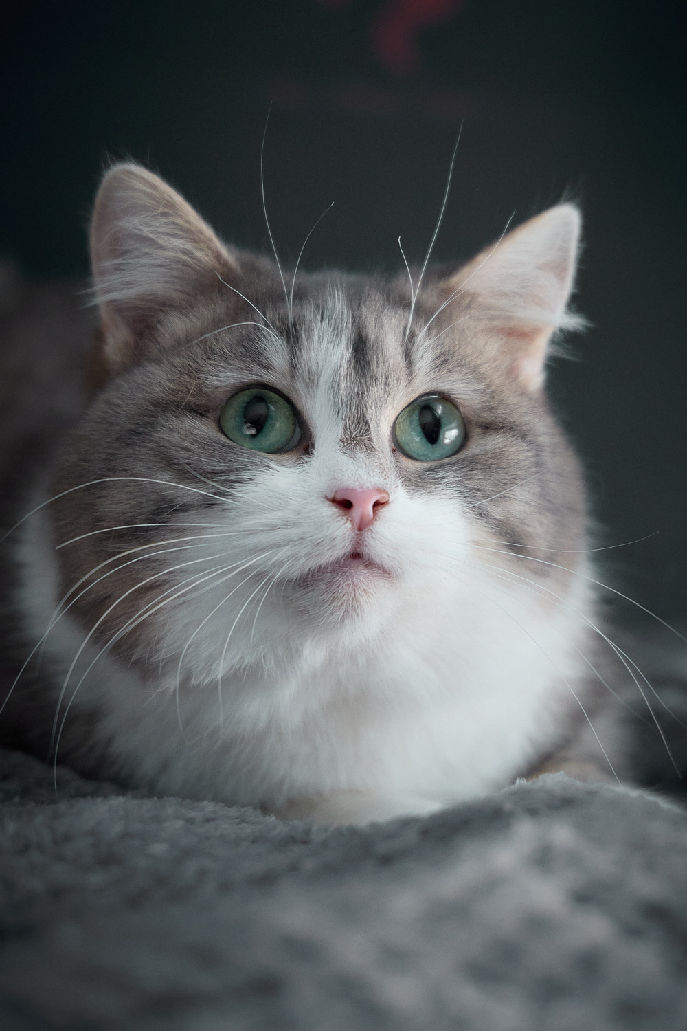 ph: Николай Коба