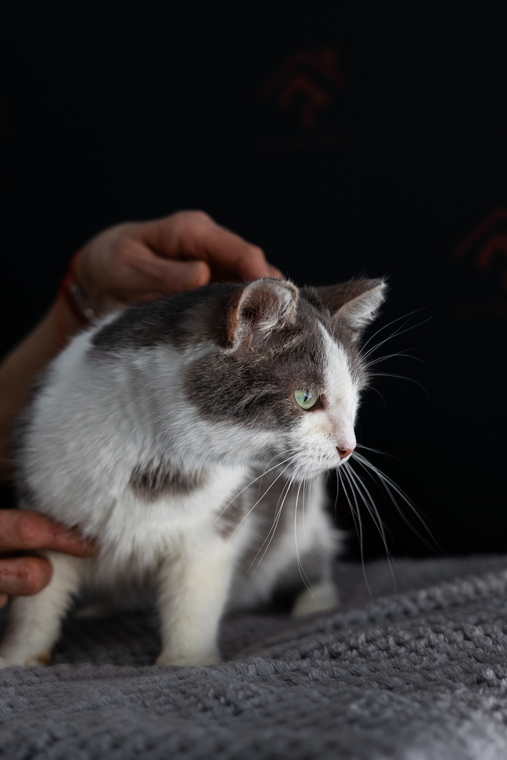 ph: Елена Тимофеева