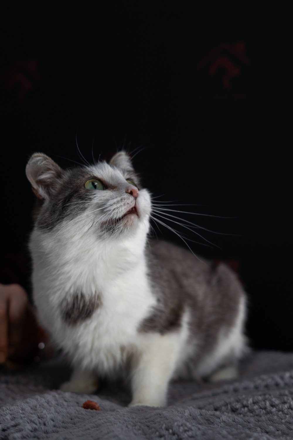 ph: Елена Тимофеева