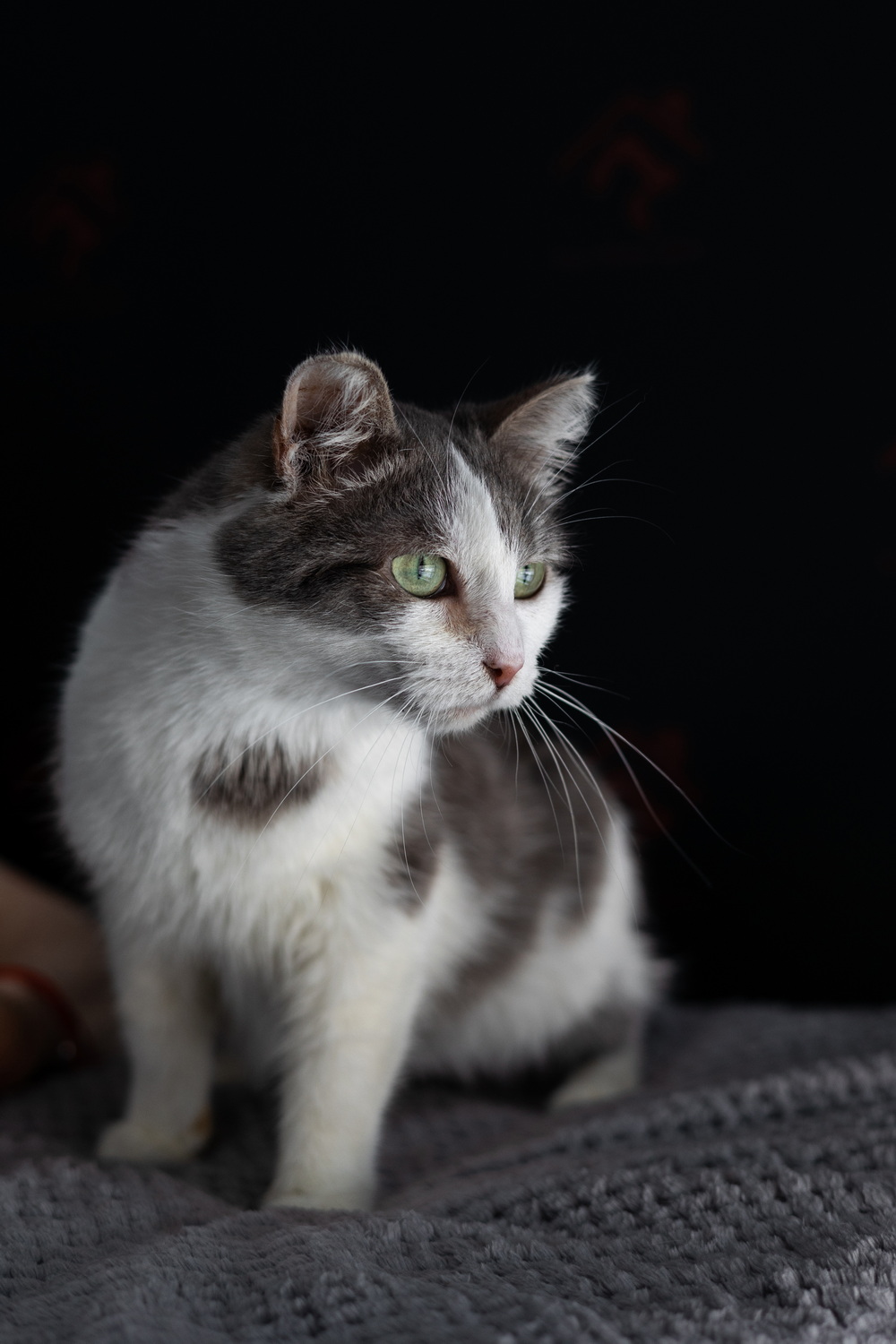 ph: Елена Тимофеева