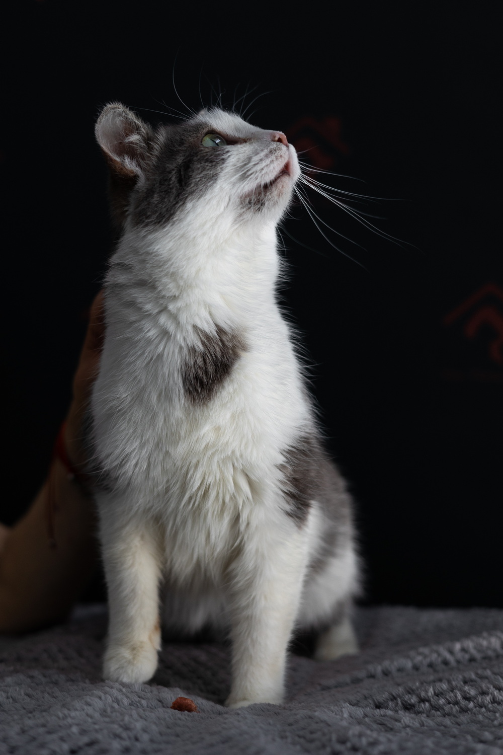 ph: Елена Тимофеева