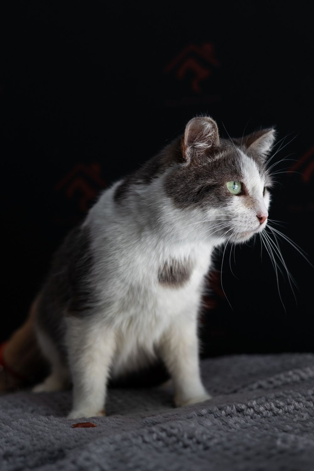 ph: Елена Тимофеева