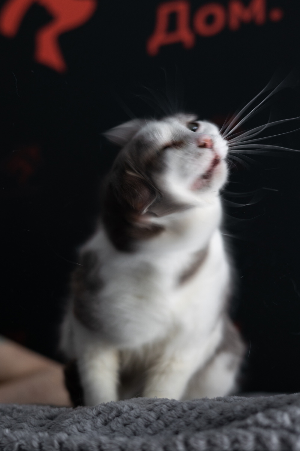 ph: Елена Тимофеева