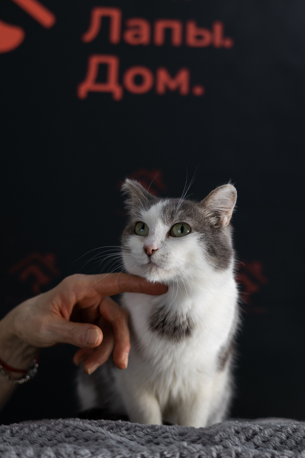 ph: Елена Тимофеева