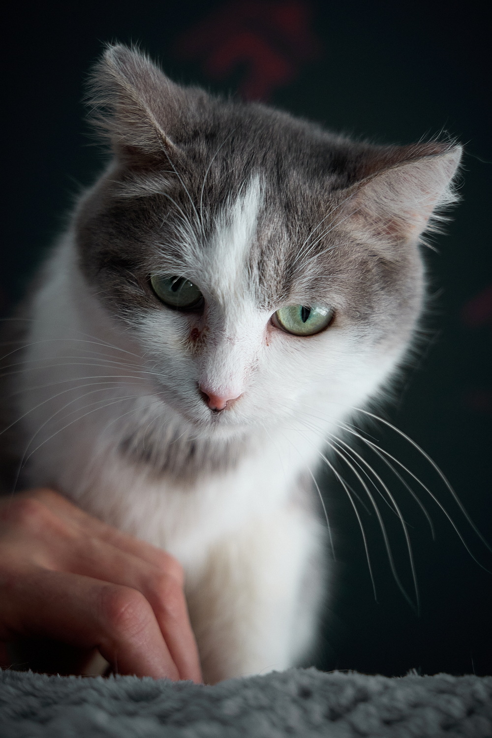 ph: Николай Коба