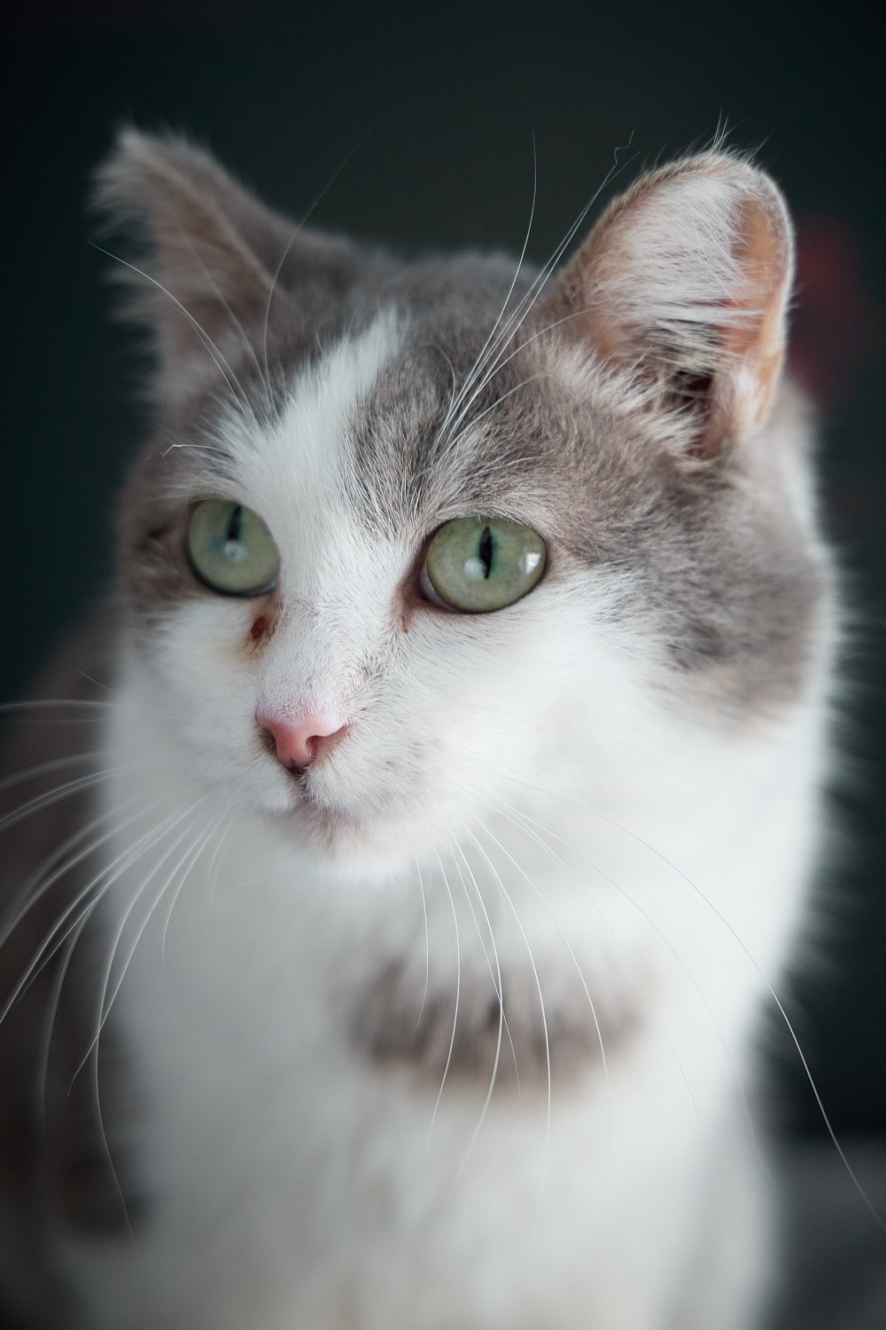 ph: Николай Коба