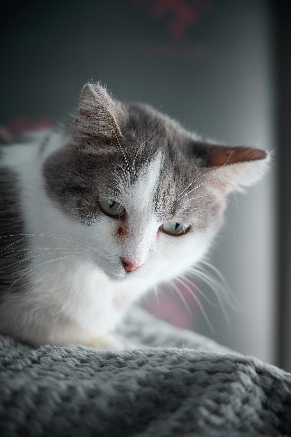 ph: Николай Коба