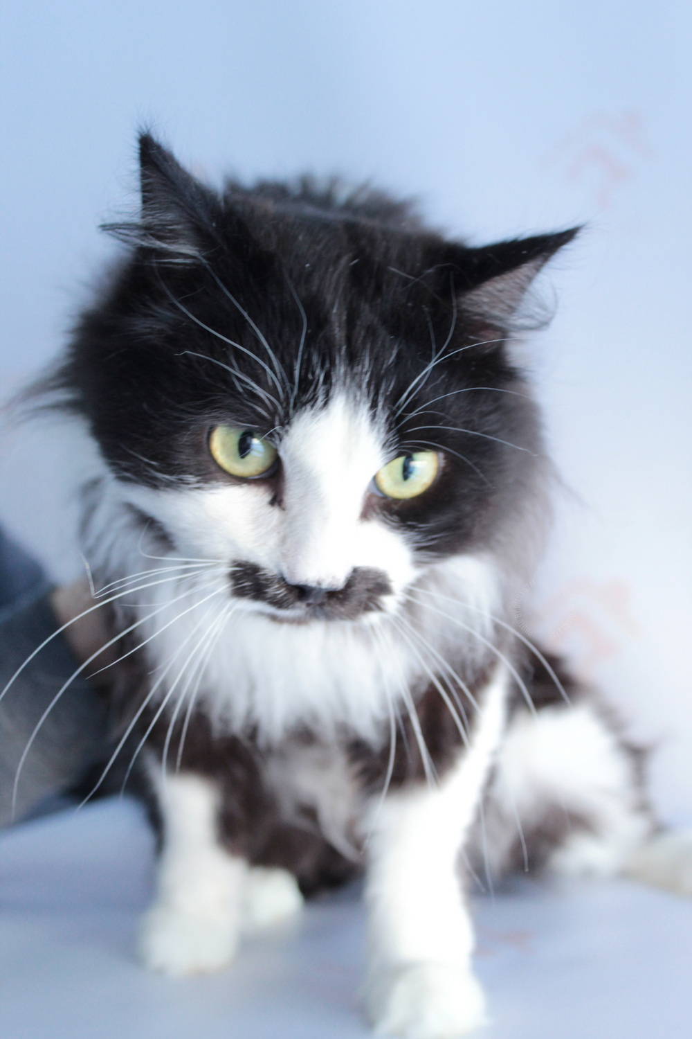 ph: Диана Стафеева