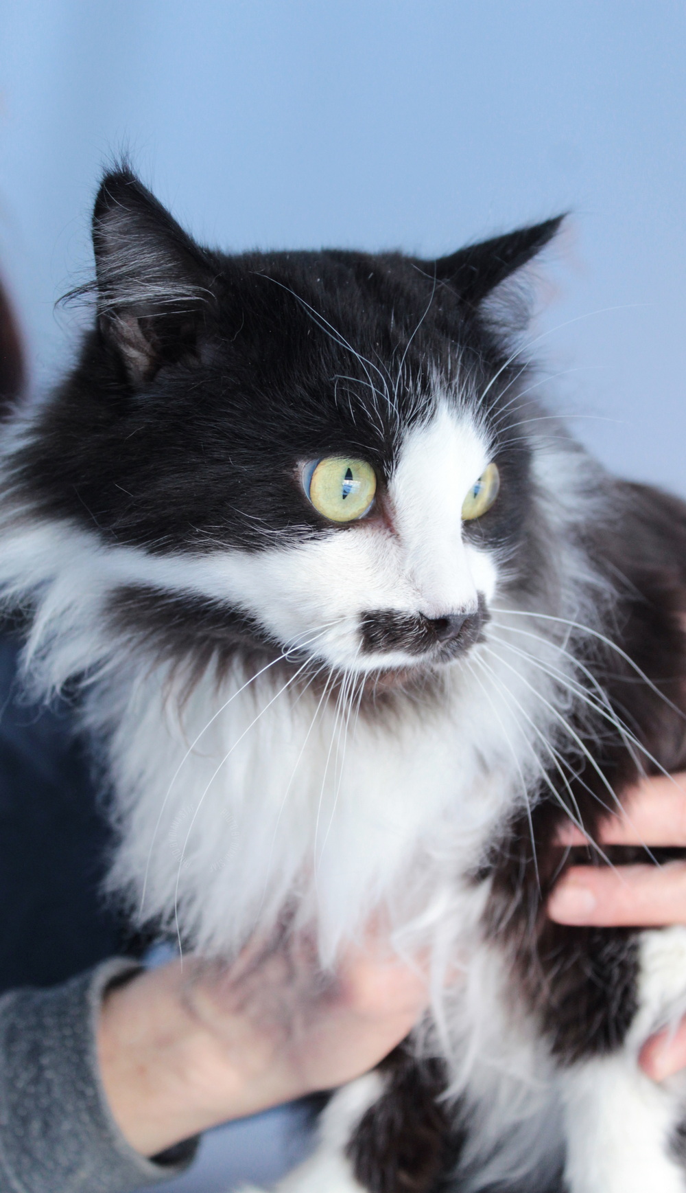 ph: Диана Стафеева