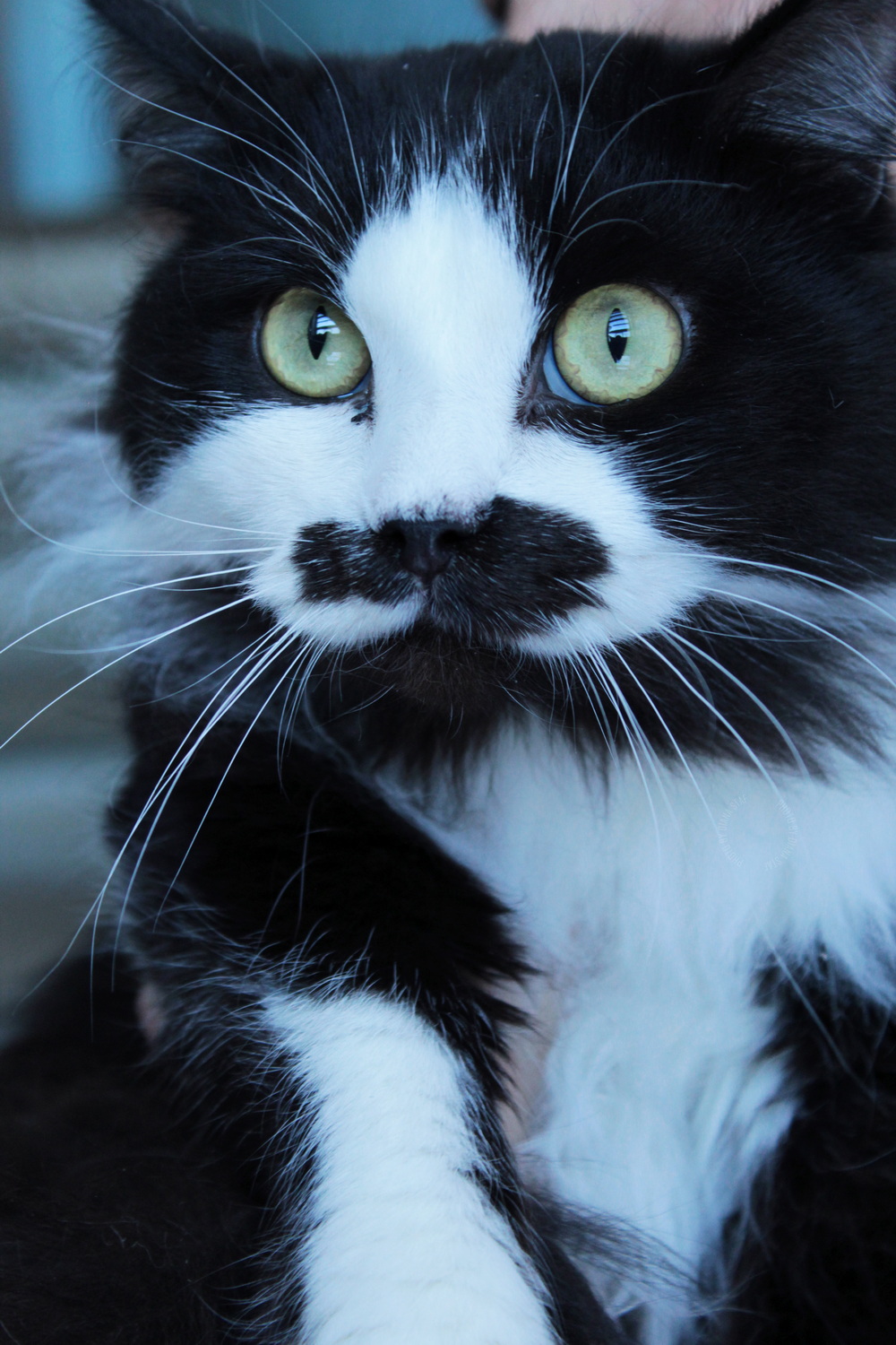 ph: Диана Стафеева