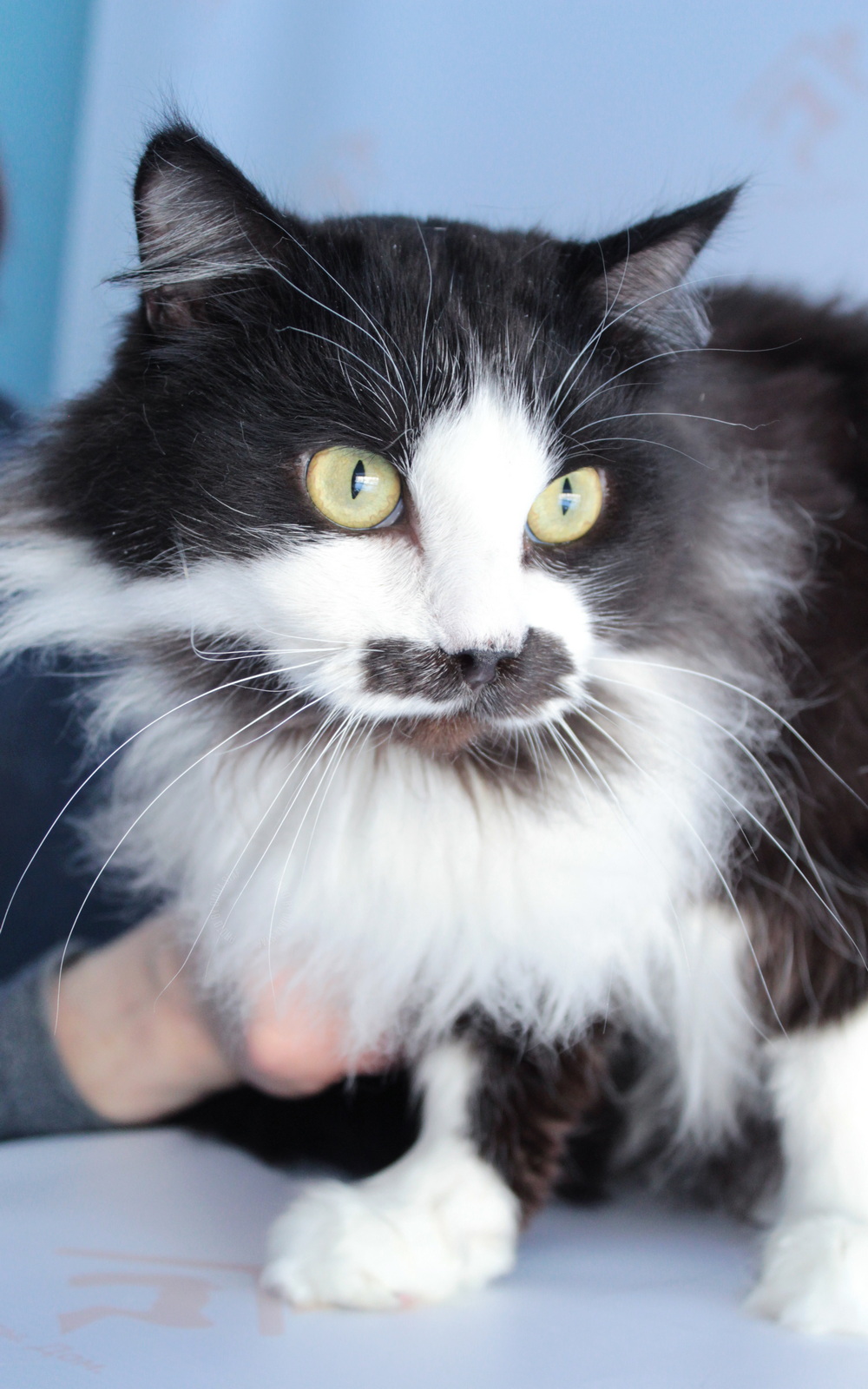 ph: Диана Стафеева