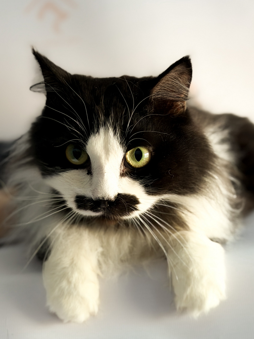 ph: Ирина Никифорова