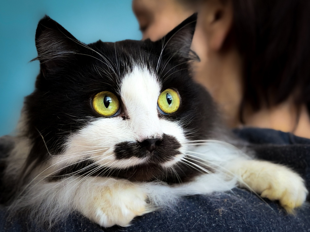 ph: Ирина Никифорова