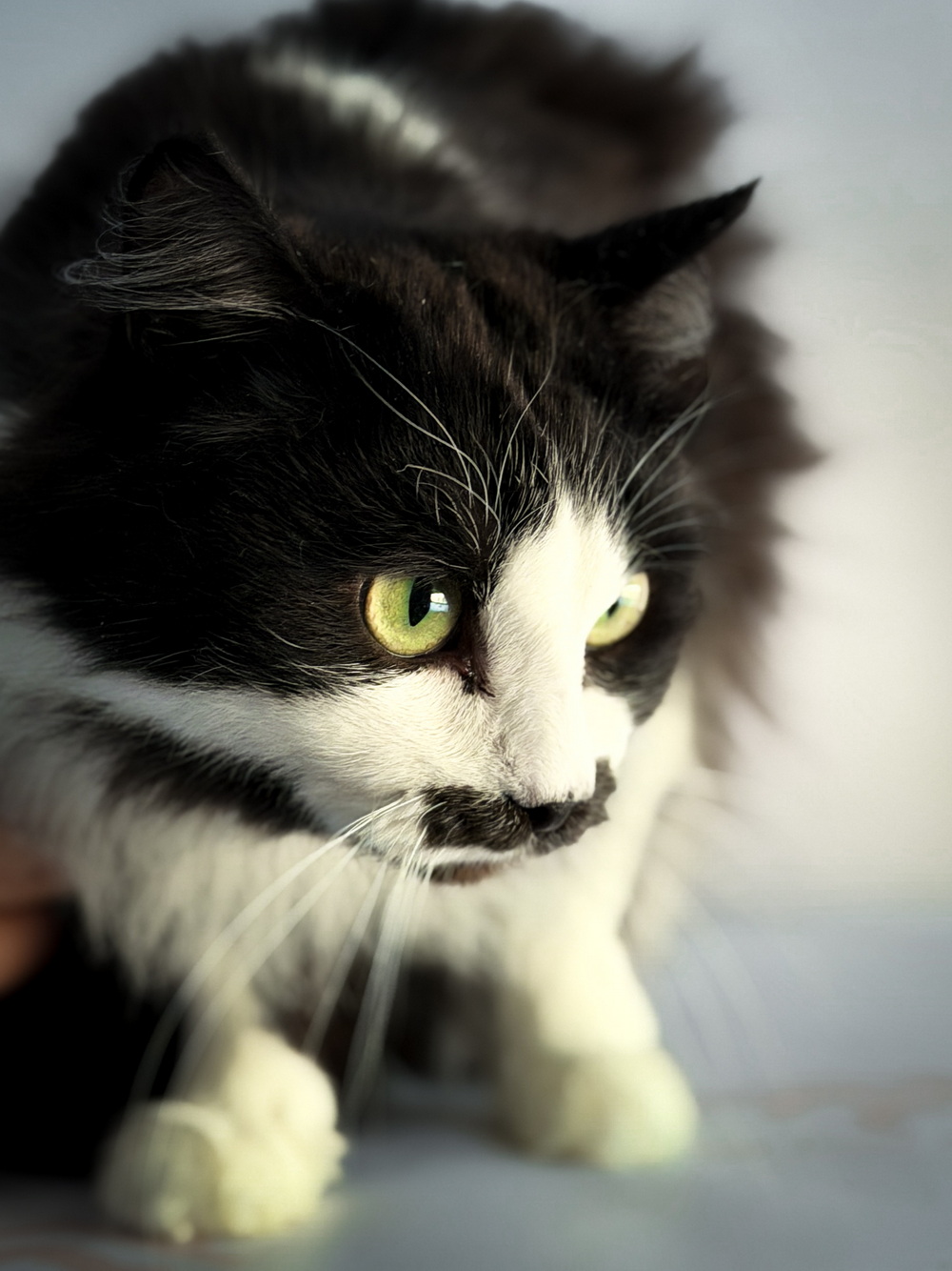 ph: Ирина Никифорова