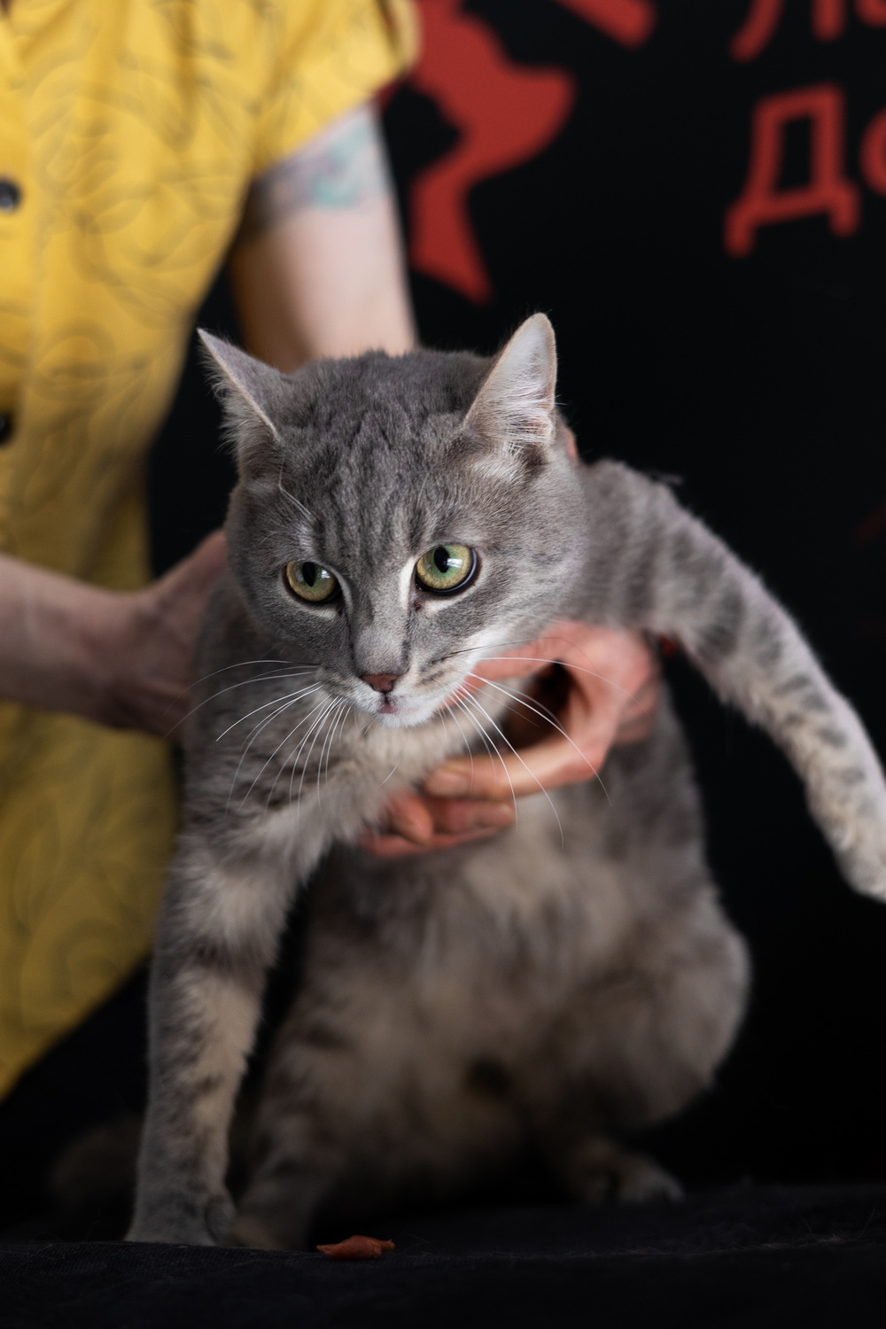 ph: Елена Тимофеева