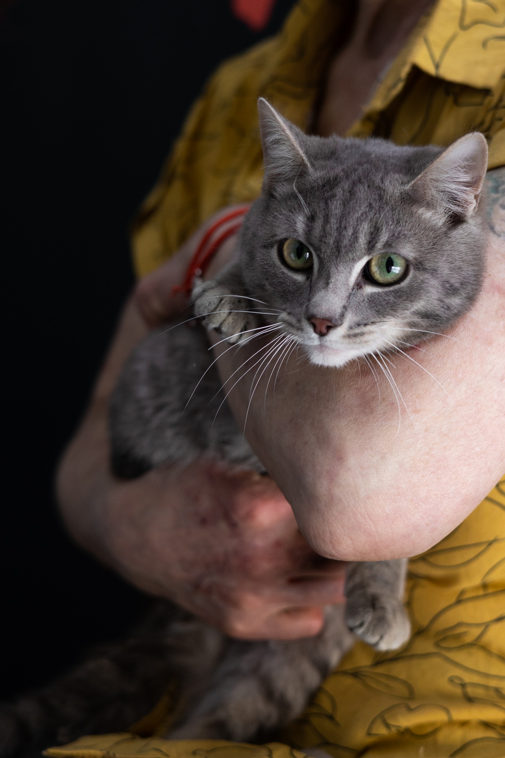 ph: Елена Тимофеева