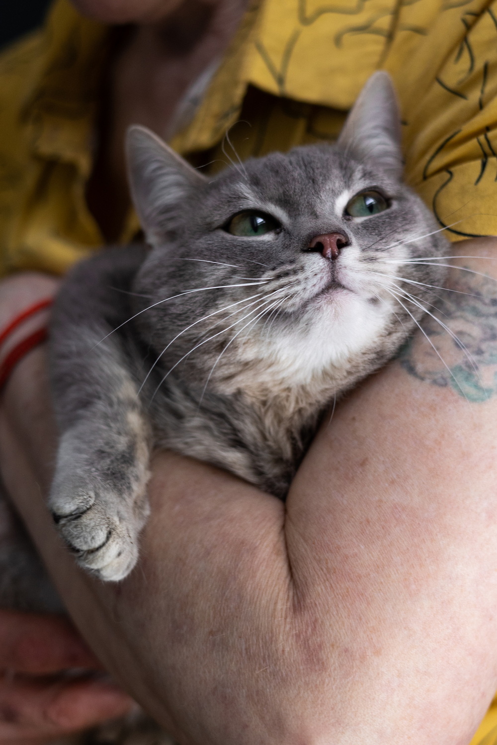 ph: Елена Тимофеева