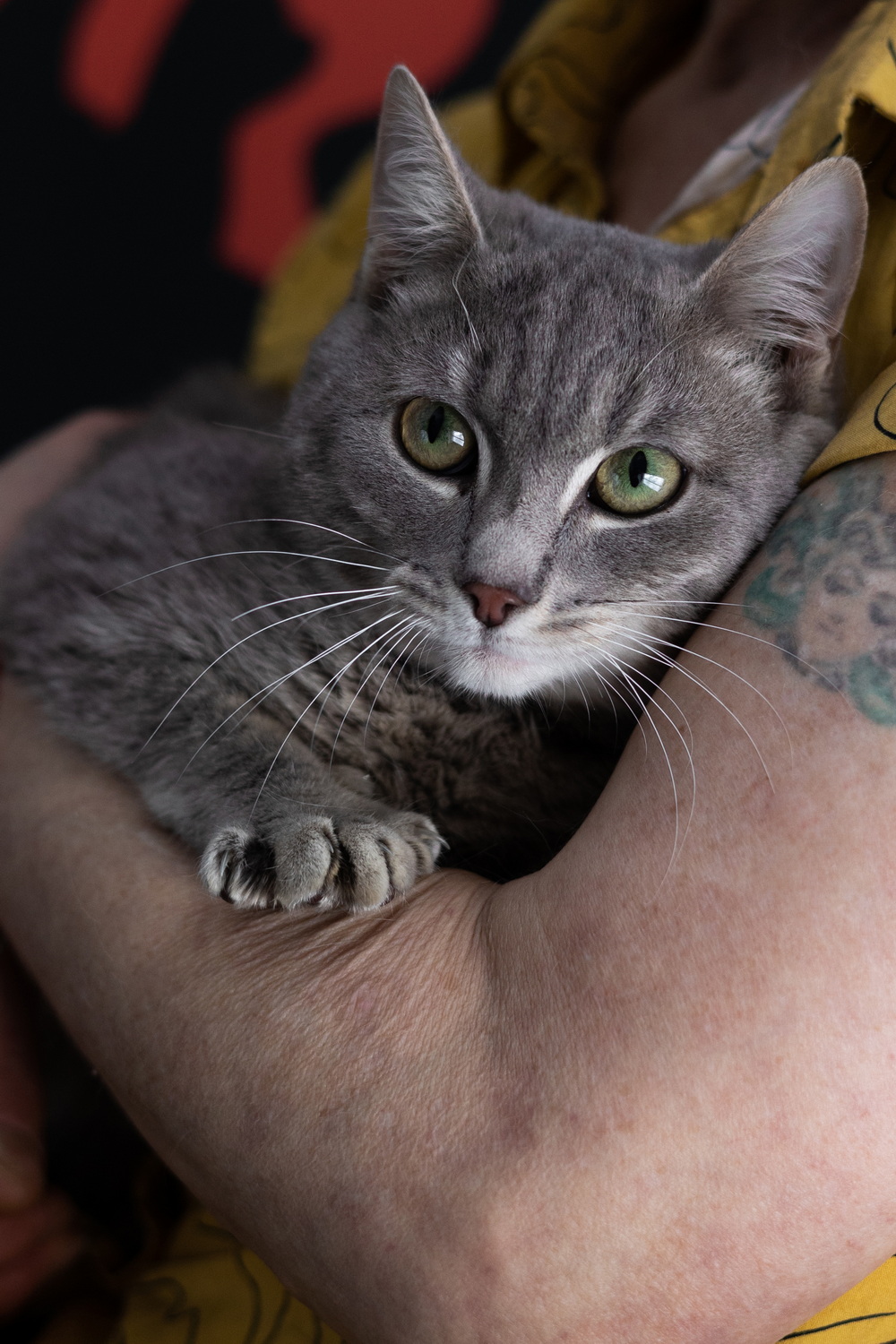 ph: Елена Тимофеева