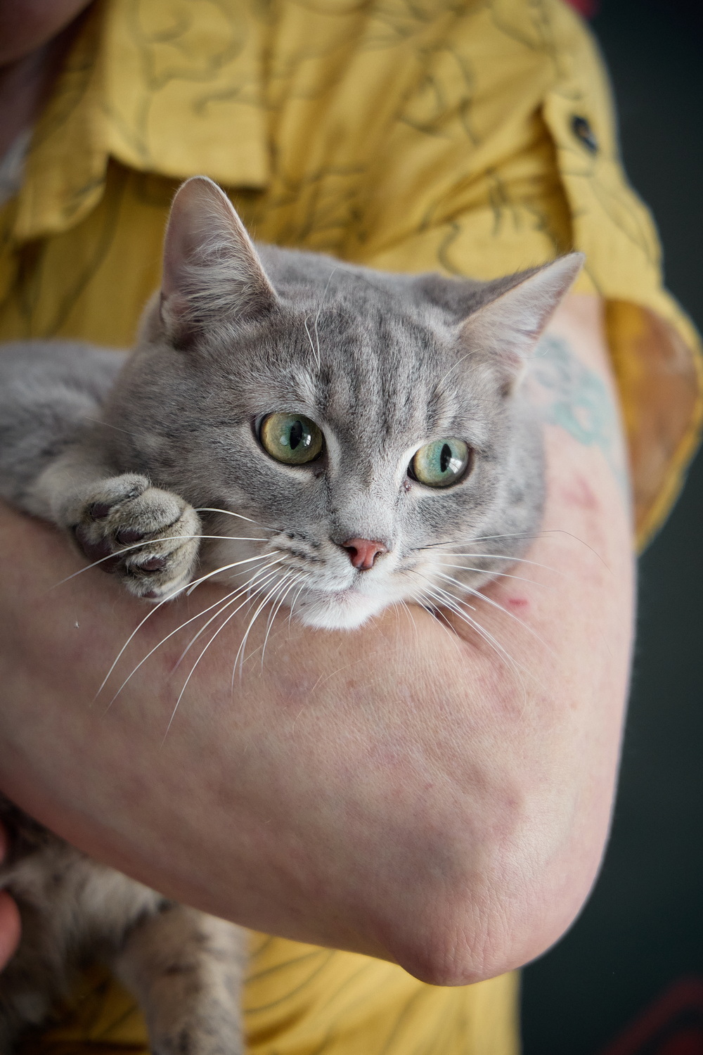 ph: Николай Коба