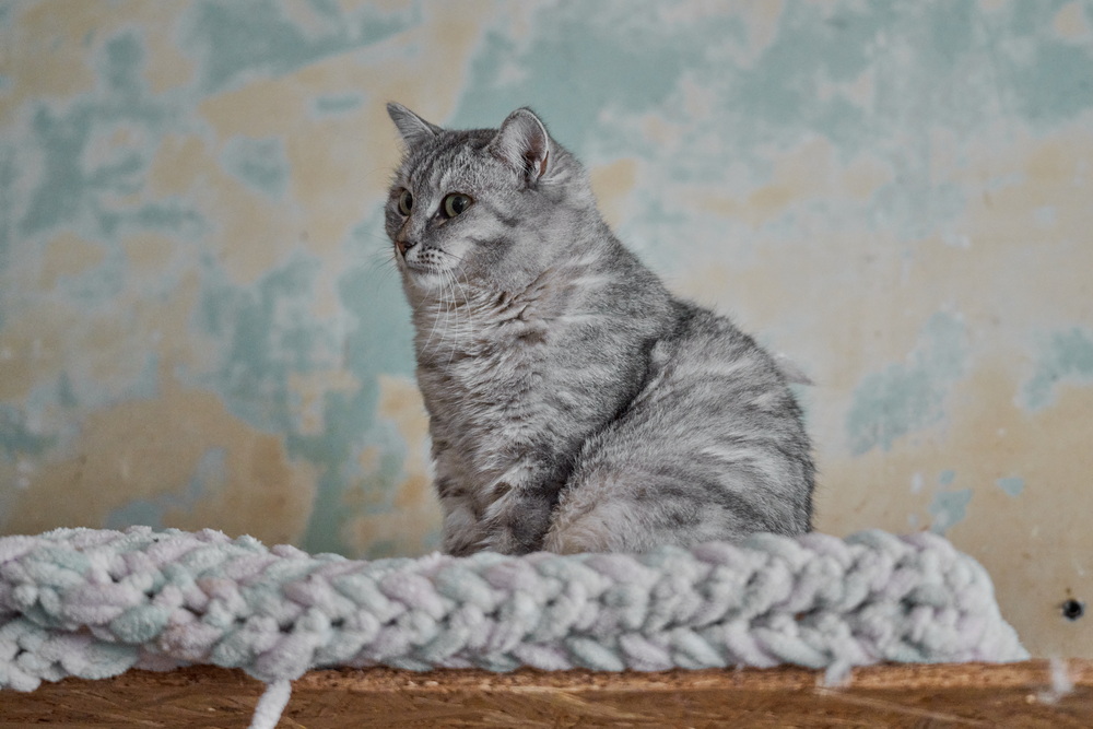 ph: Анна Молодожён
