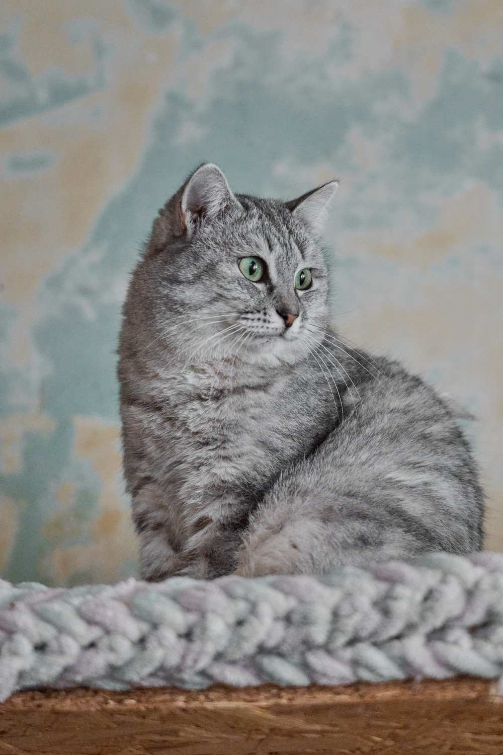 ph: Анна Молодожён
