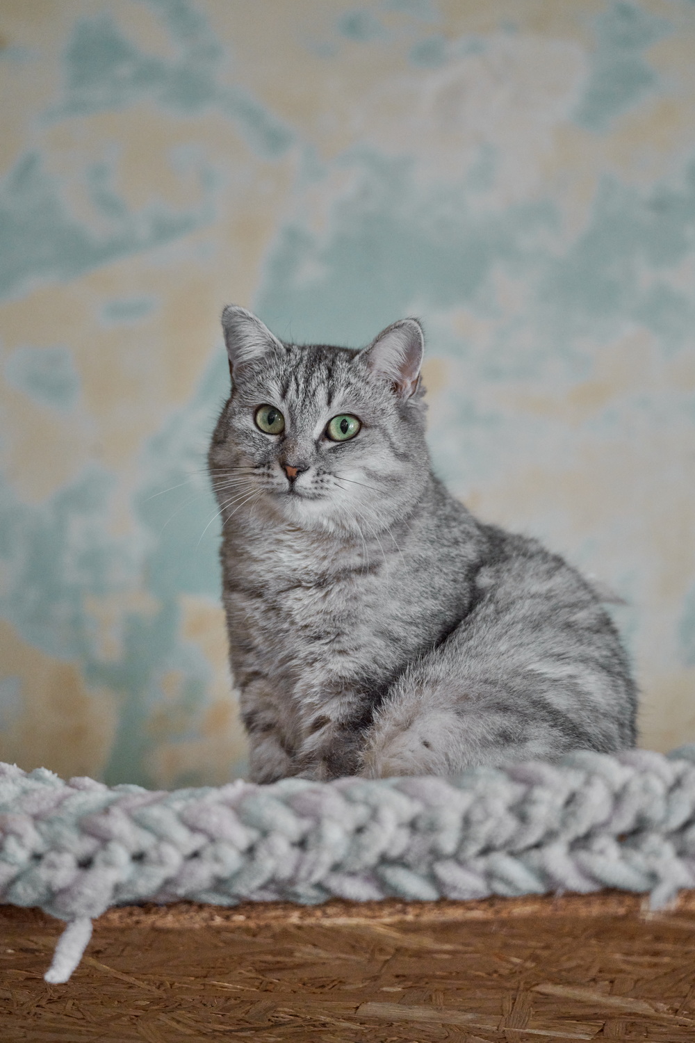 ph: Анна Молодожён