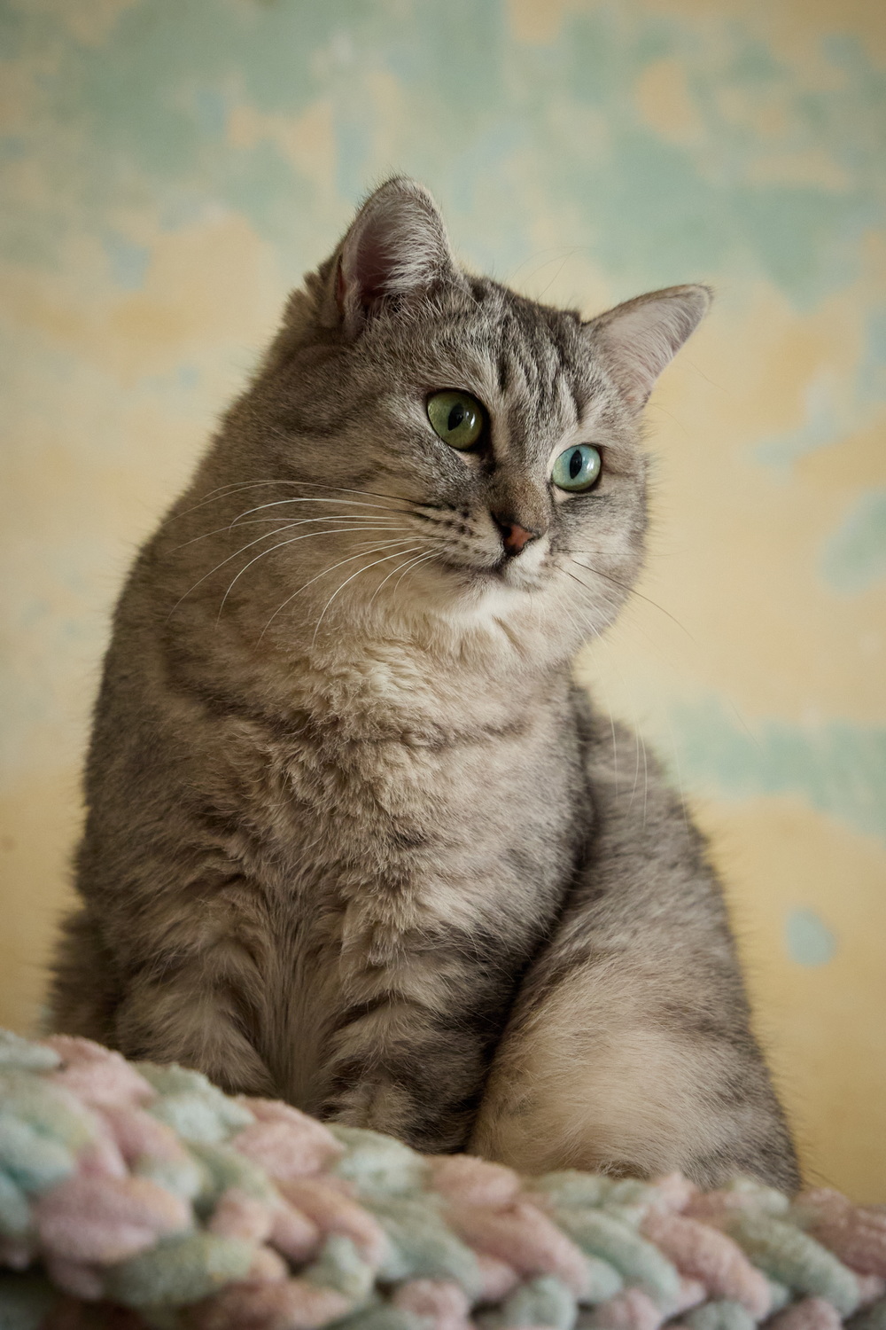 ph: Николай Коба