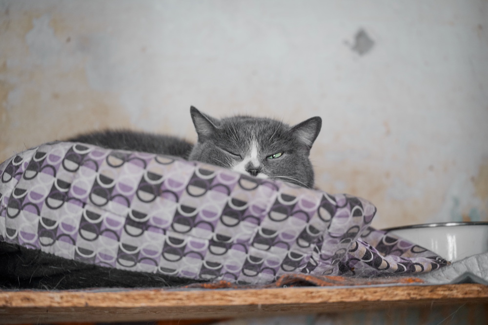 ph: Анна Молодожён