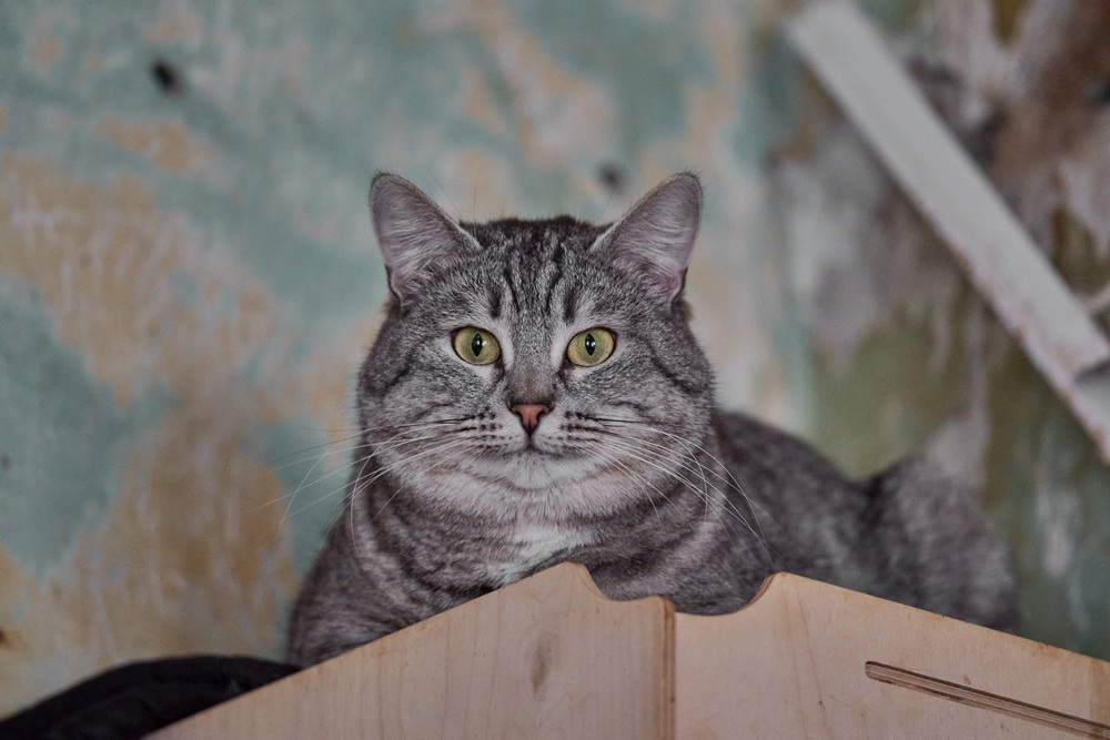 ph: Анна Молодожён