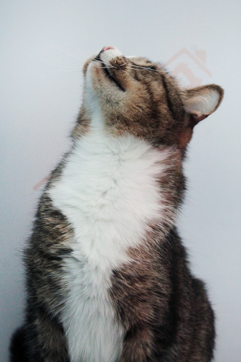 ph: Диана Стафеева