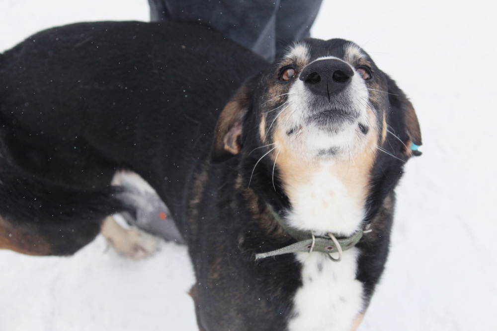 ph: Диана Стафеева