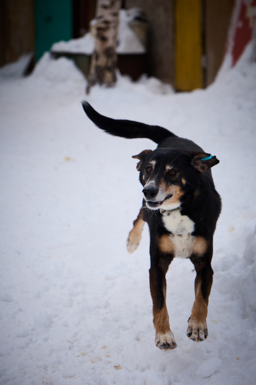 ph: Николай Коба