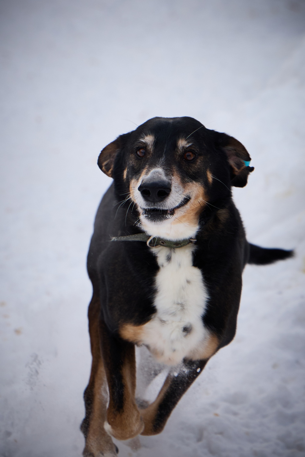 ph: Николай Коба