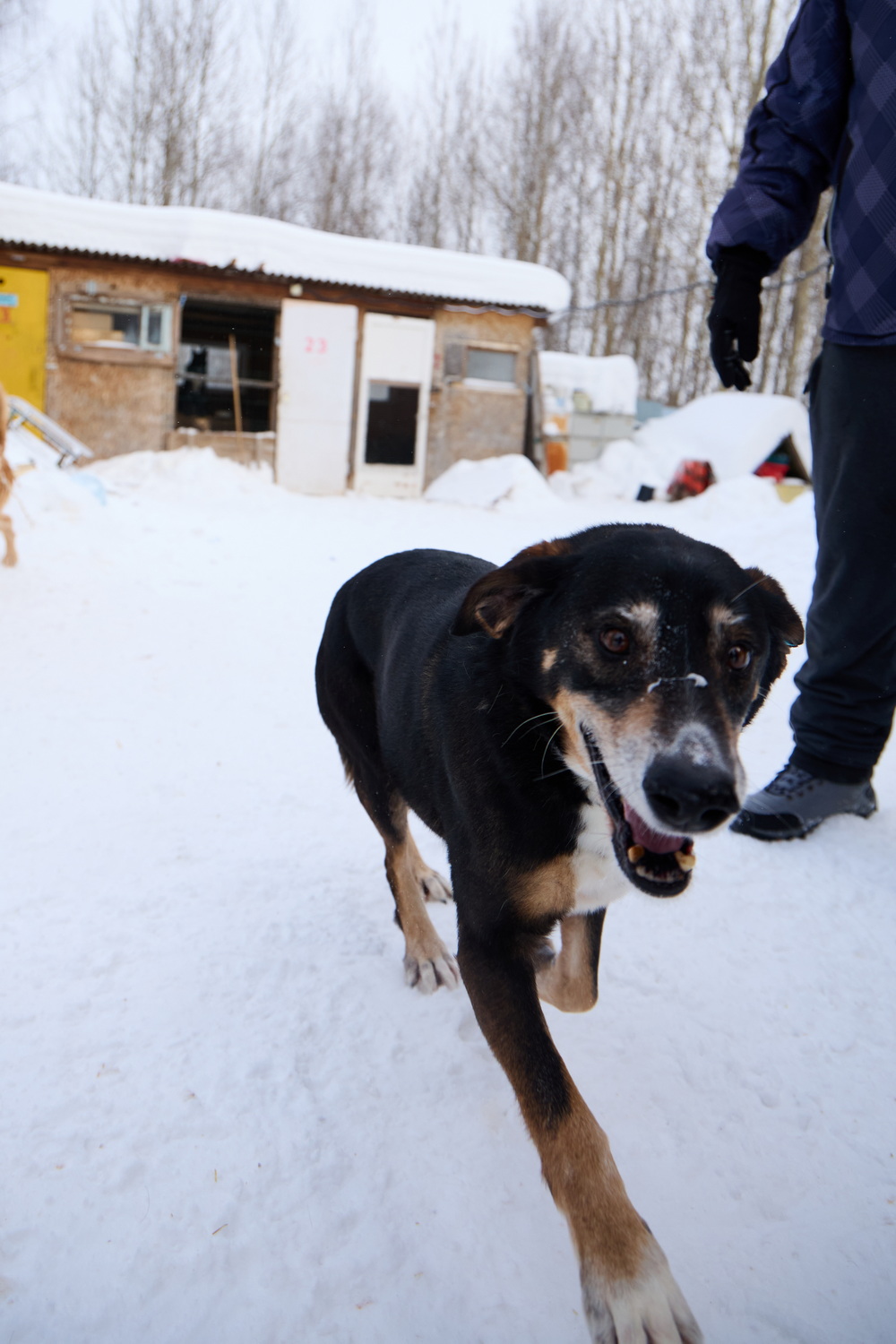 ph: Николай Коба