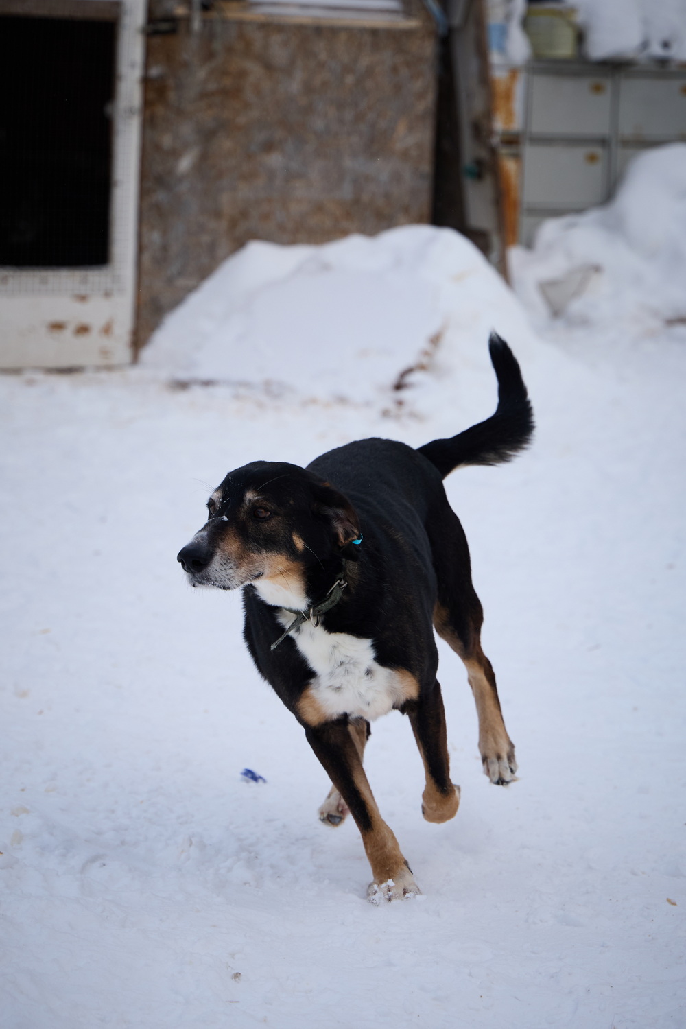 ph: Николай Коба