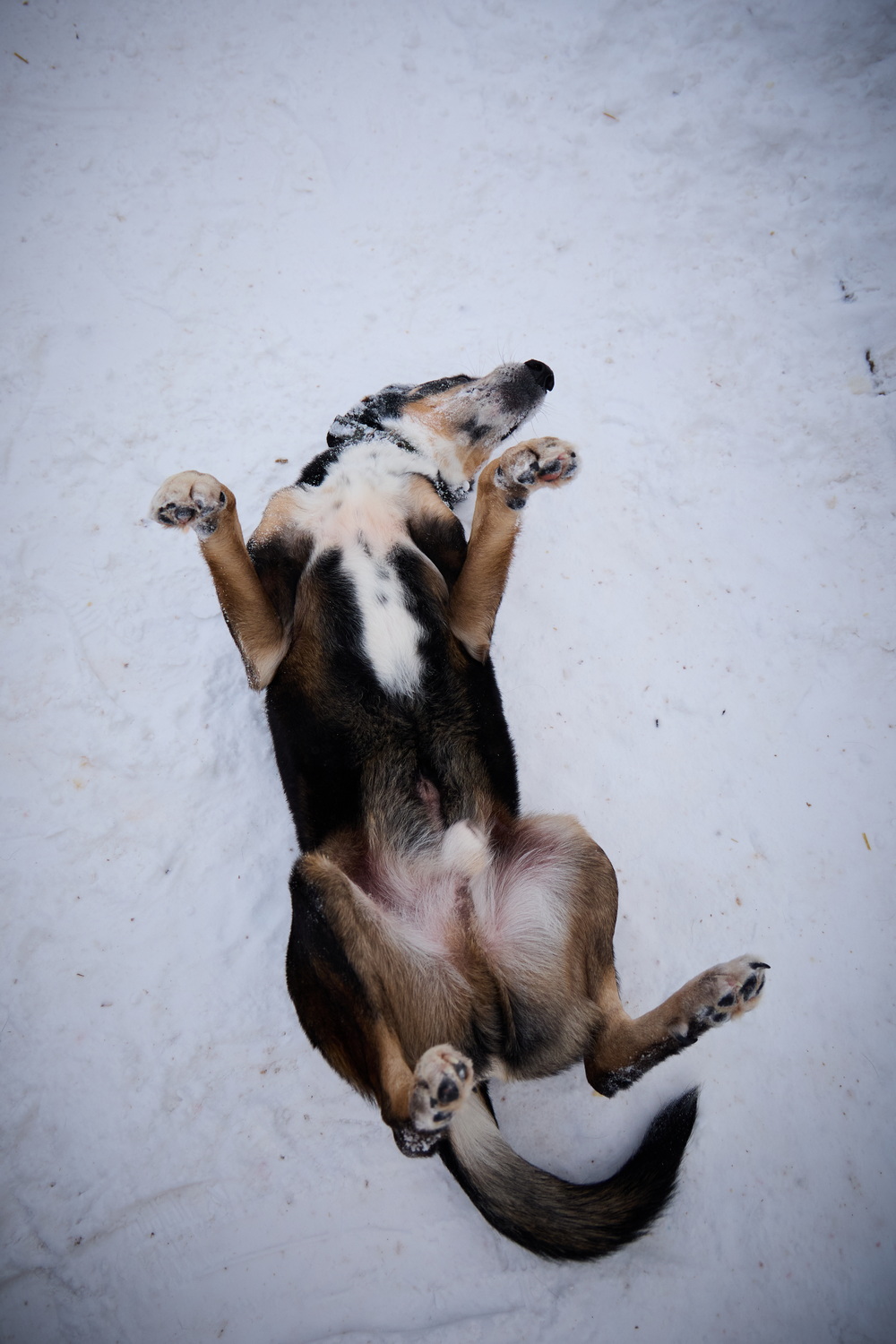 ph: Николай Коба