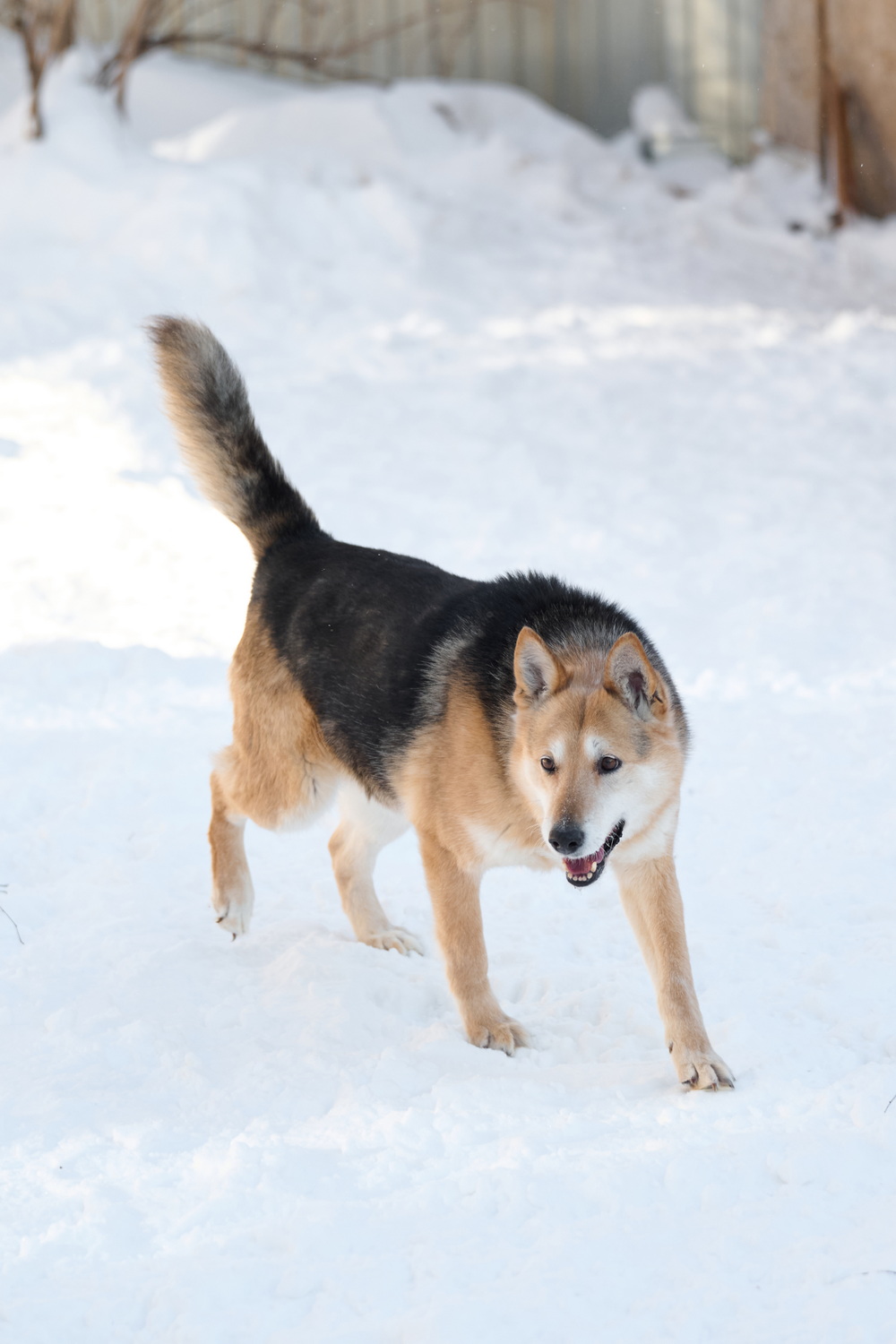 ph: Анна Молодожён