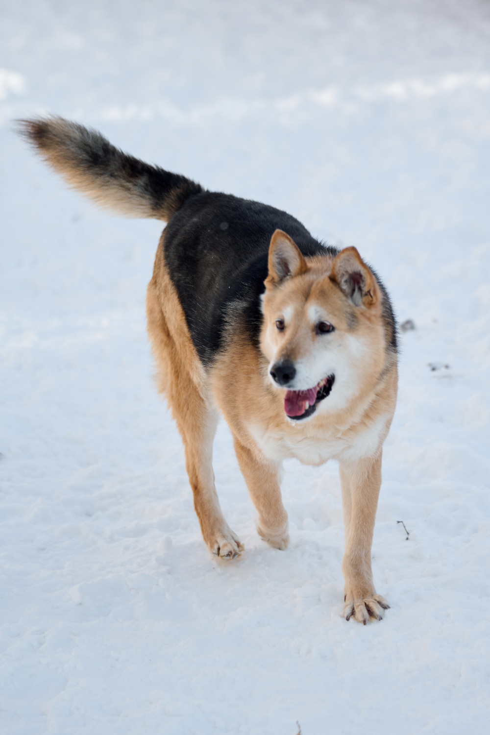 ph: Анна Молодожён