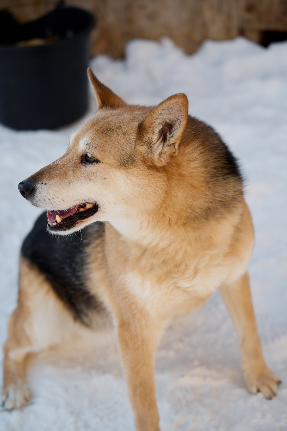 ph: Анна Молодожён