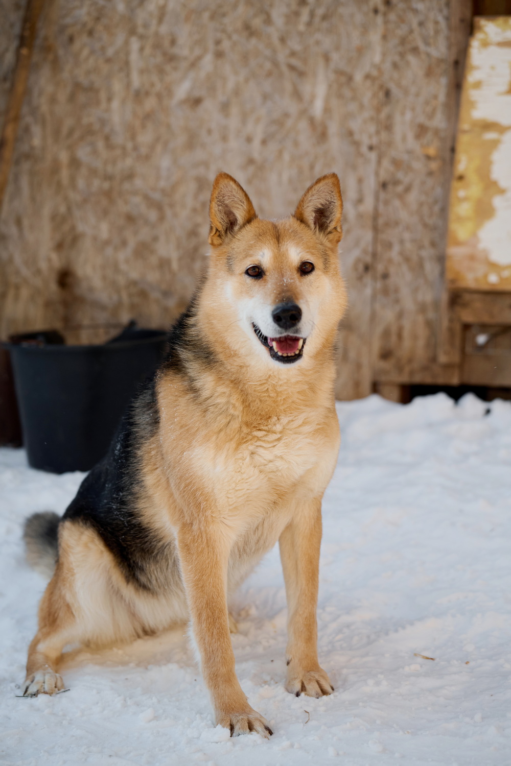 ph: Анна Молодожён