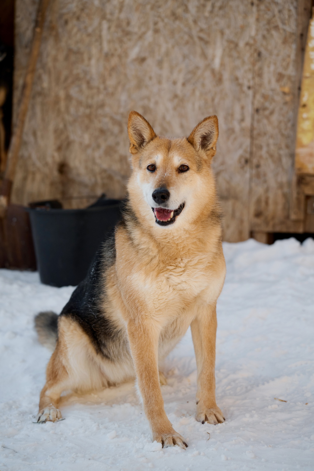 ph: Анна Молодожён