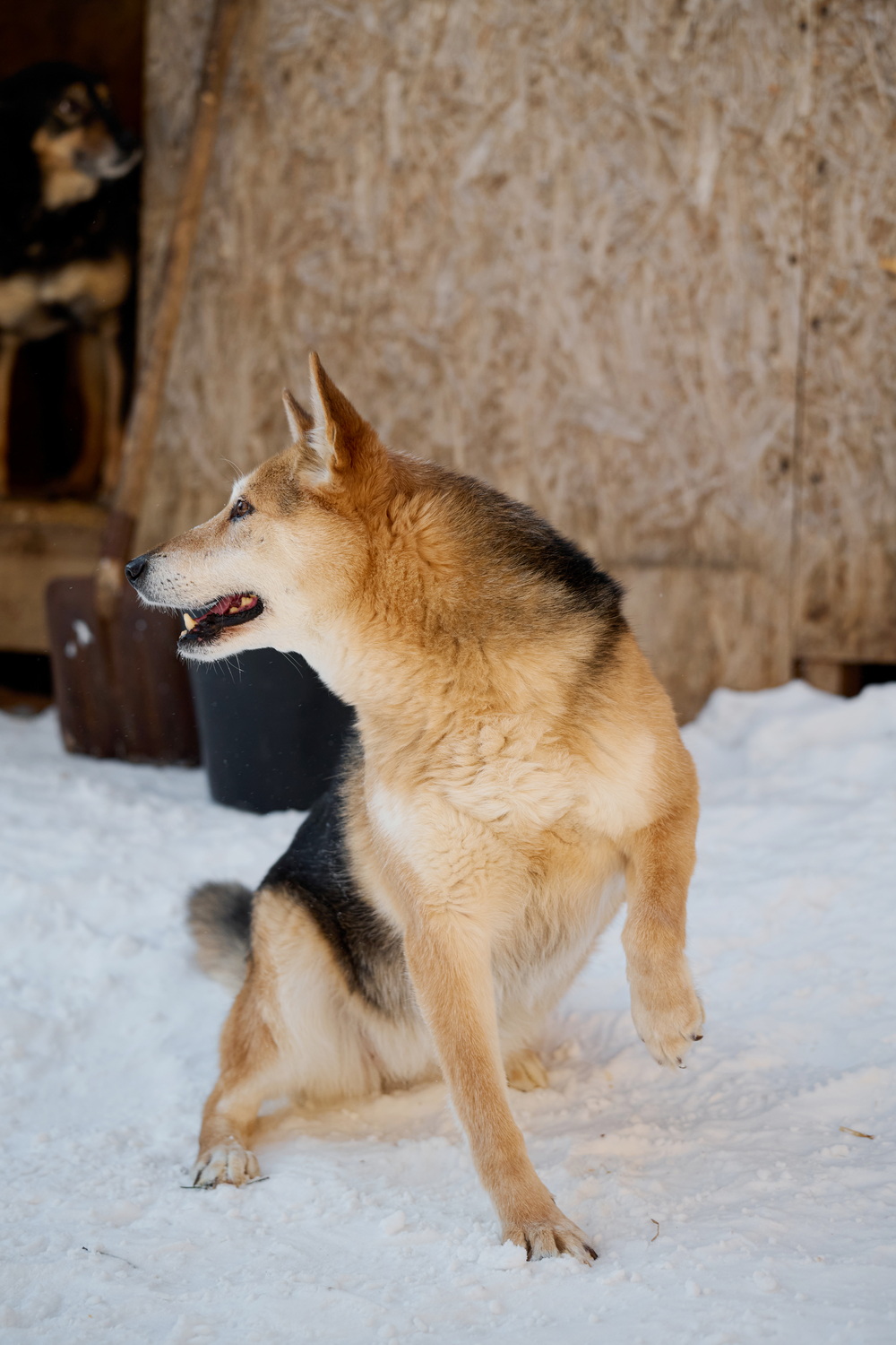 ph: Анна Молодожён