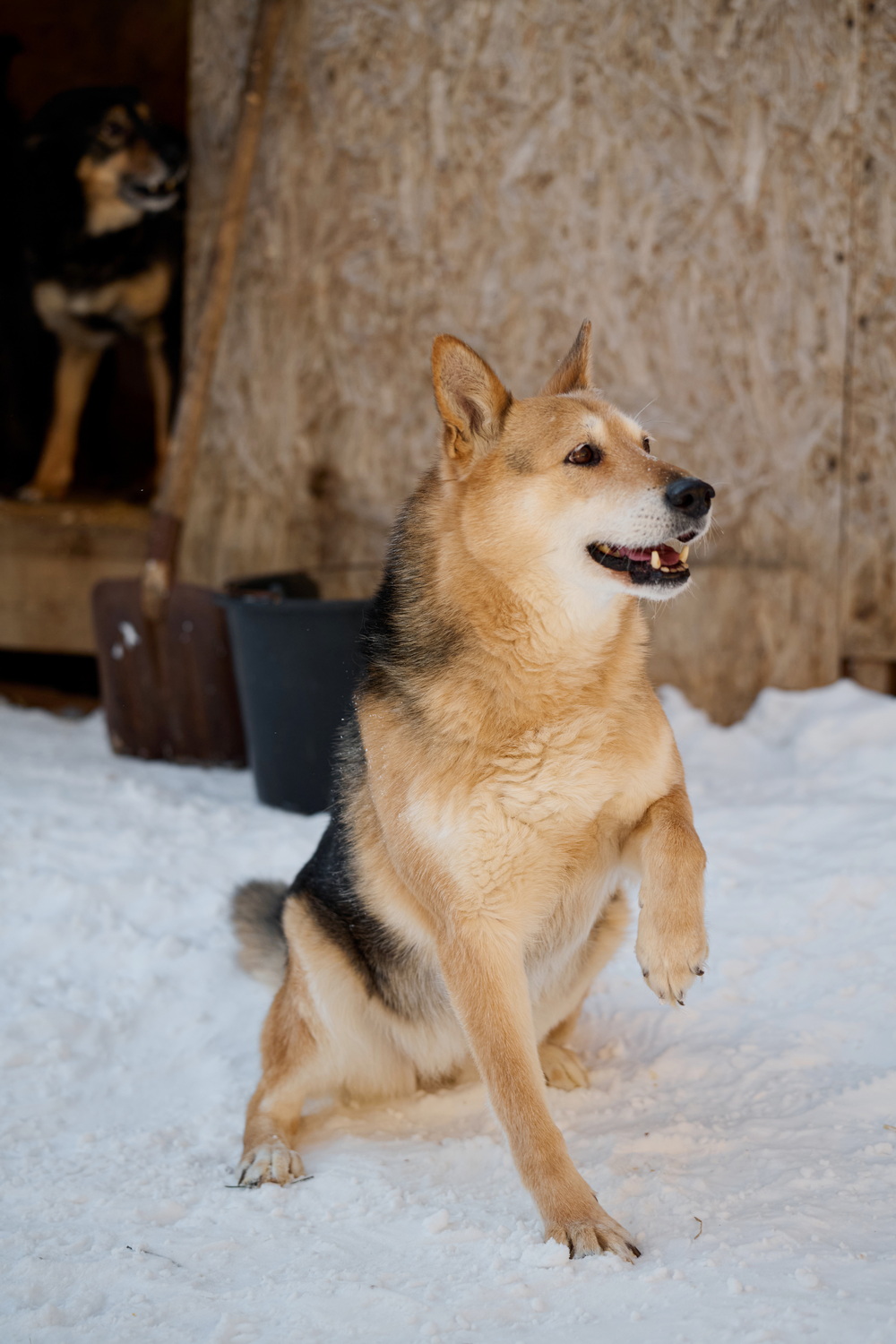 ph: Анна Молодожён