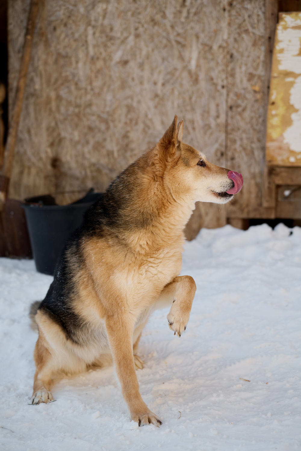 ph: Анна Молодожён