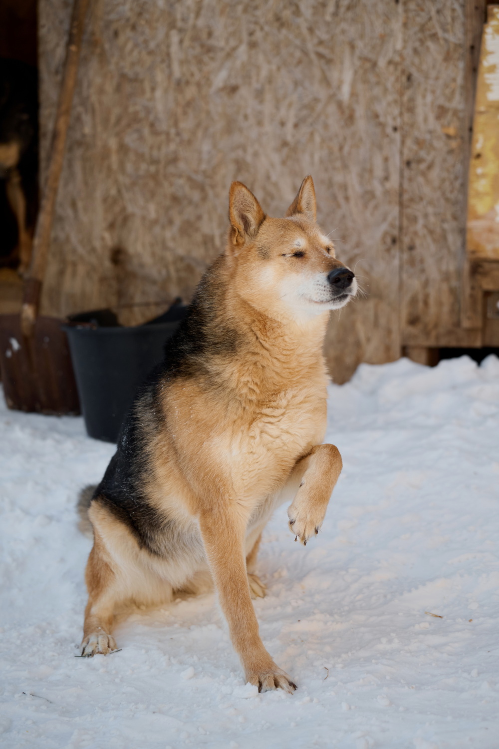 ph: Анна Молодожён
