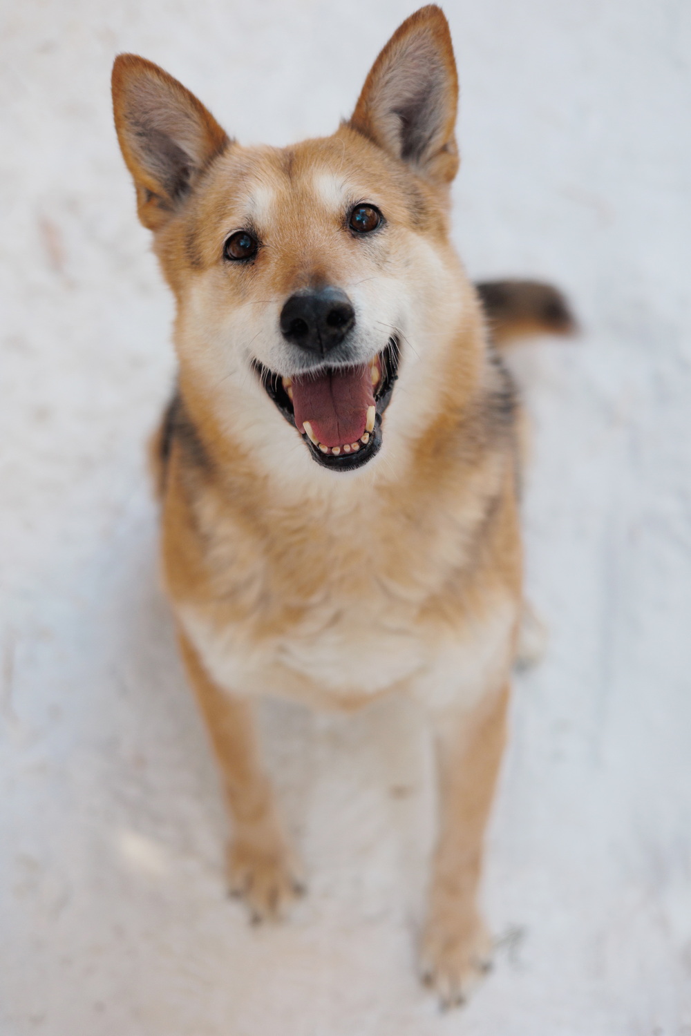 ph: Елена Тимофеева