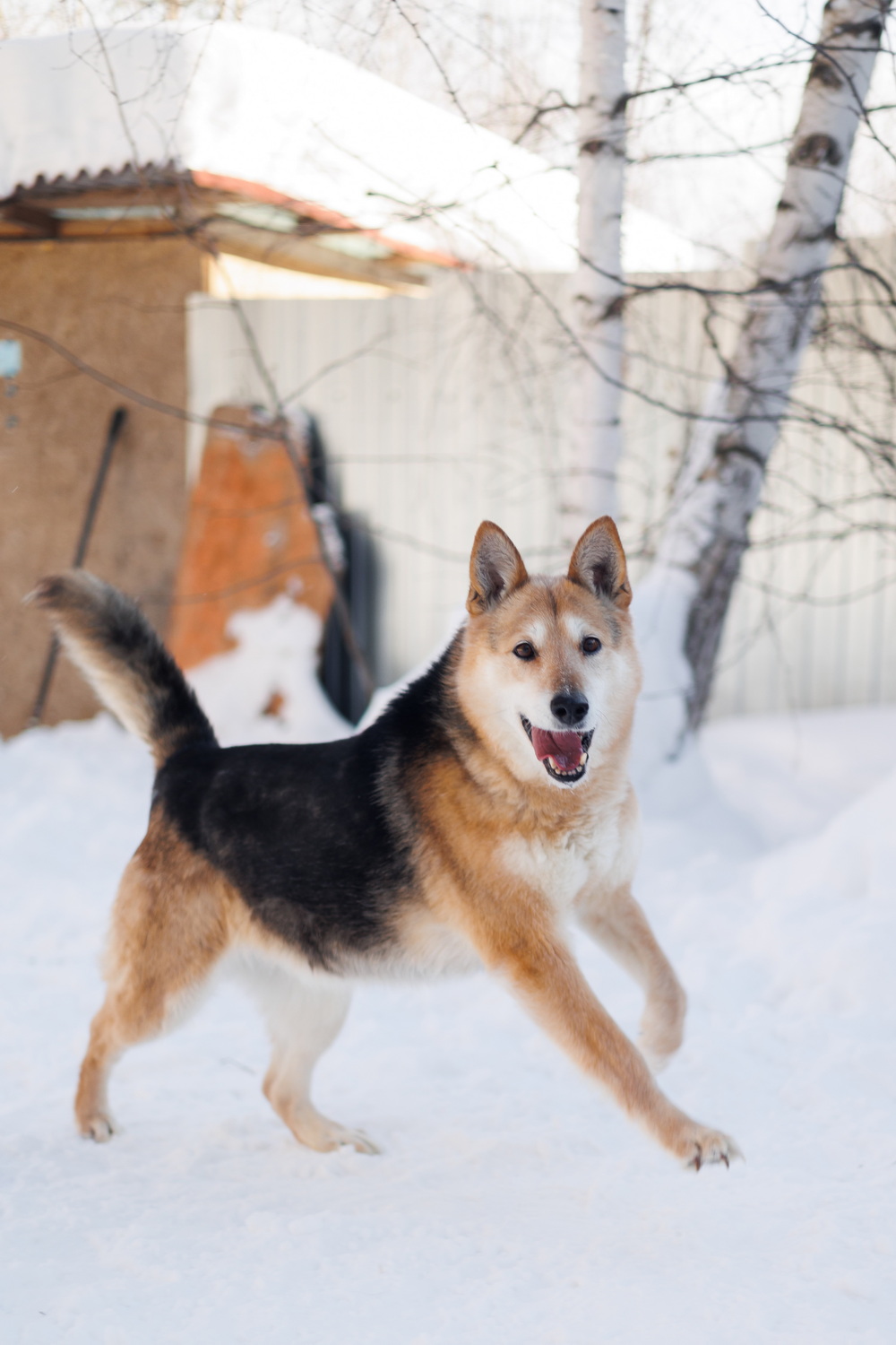 ph: Елена Тимофеева