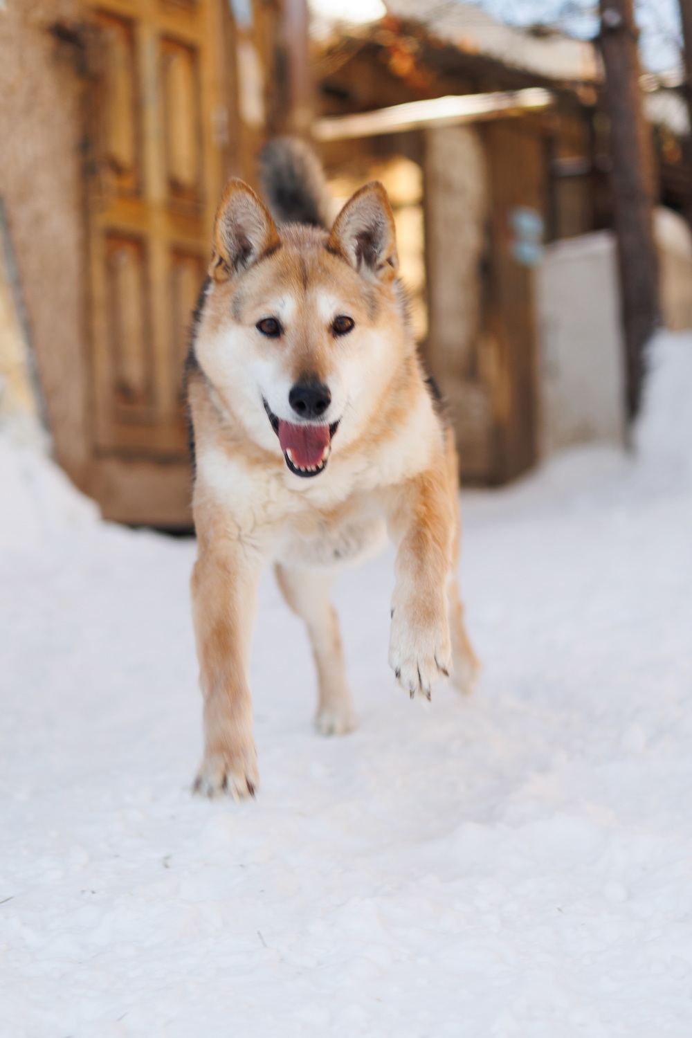 ph: Елена Тимофеева