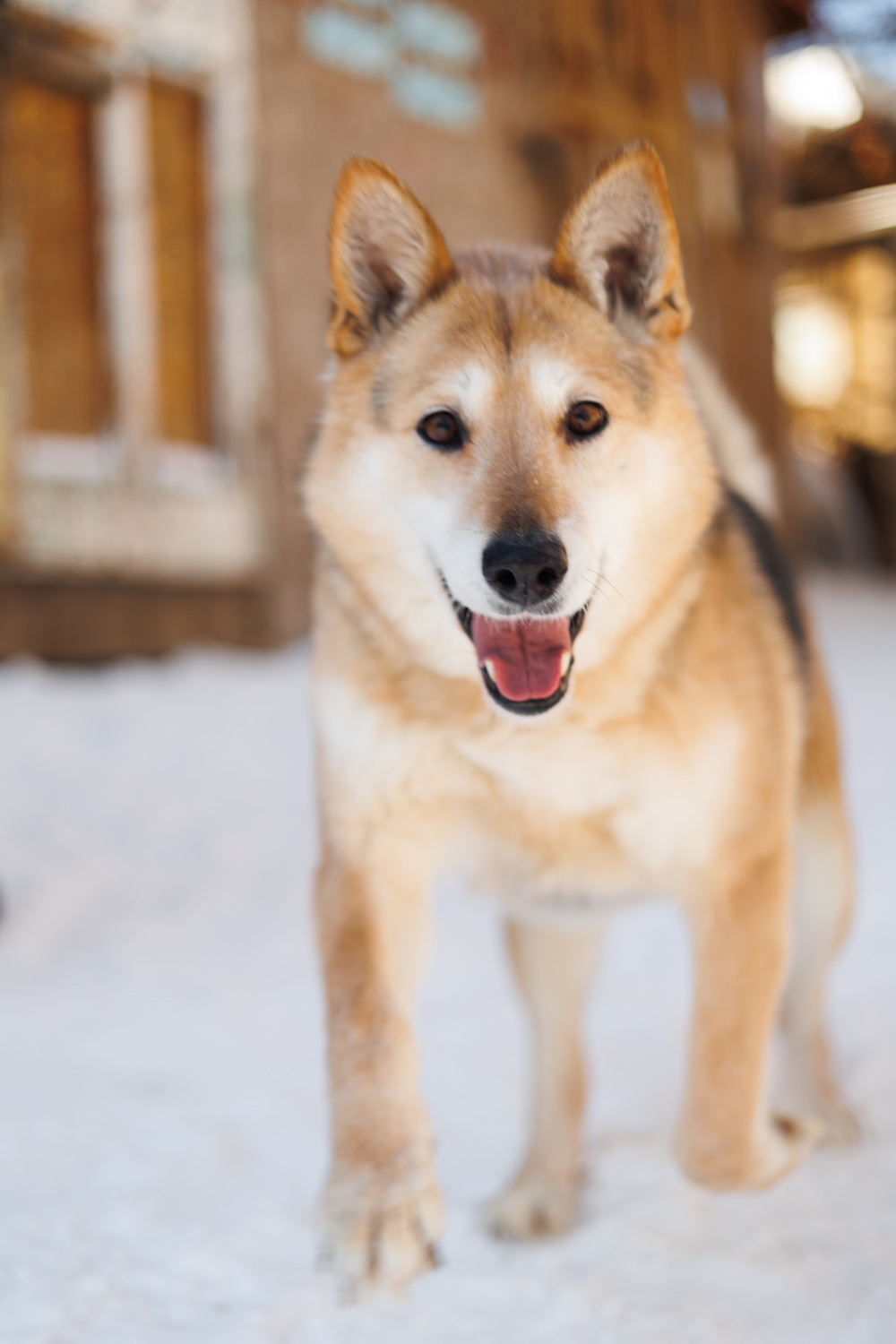 ph: Елена Тимофеева