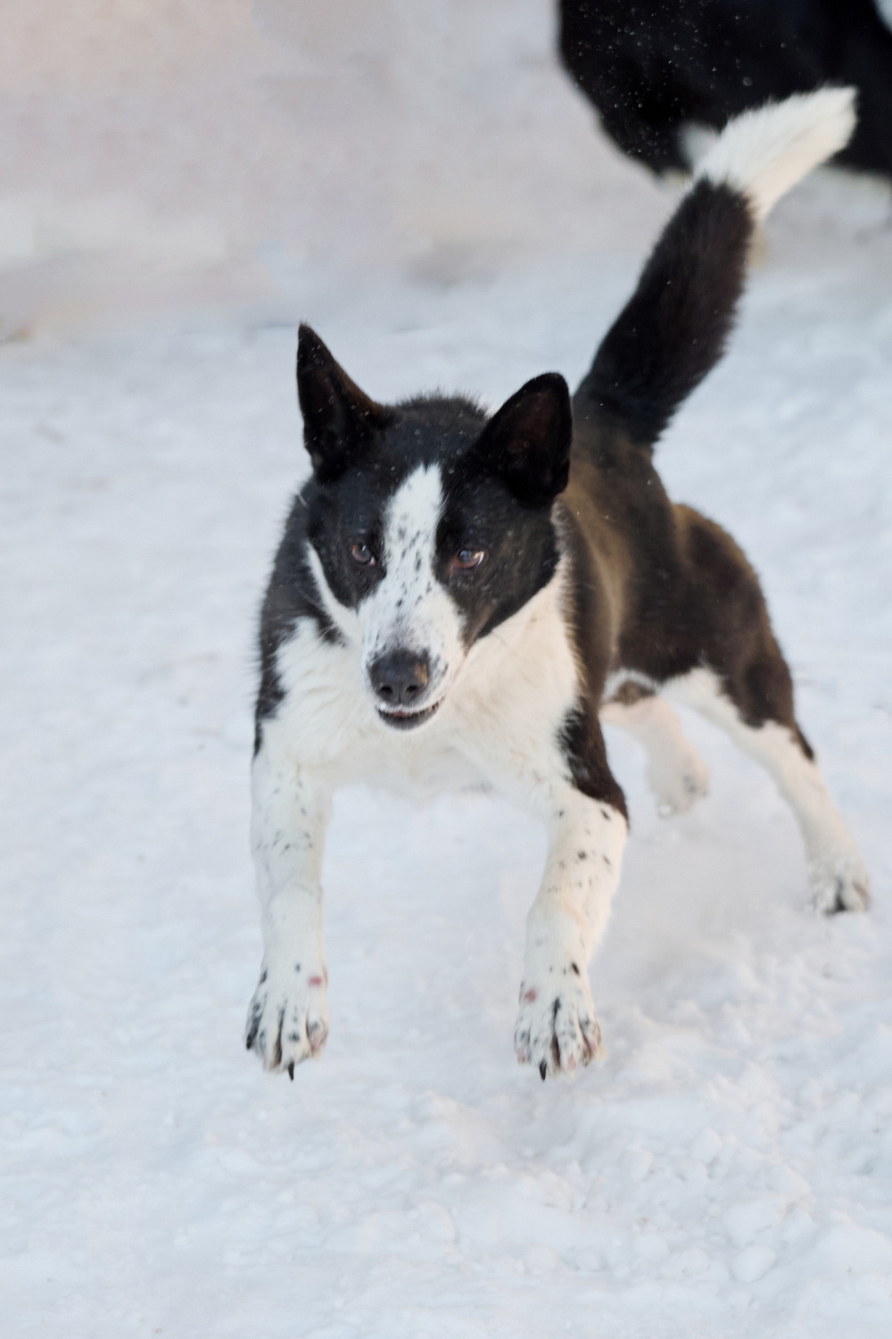 ph: Анна Молодожён